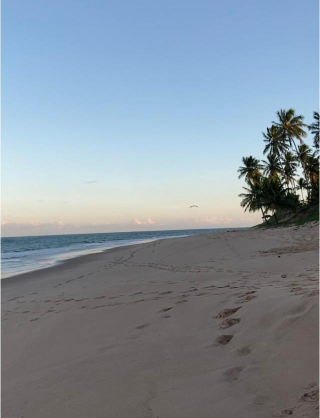 Praia Do Forte- Iberostar- Ap Luxuoso 3 Qts Mata de Sao Joao Exterior foto